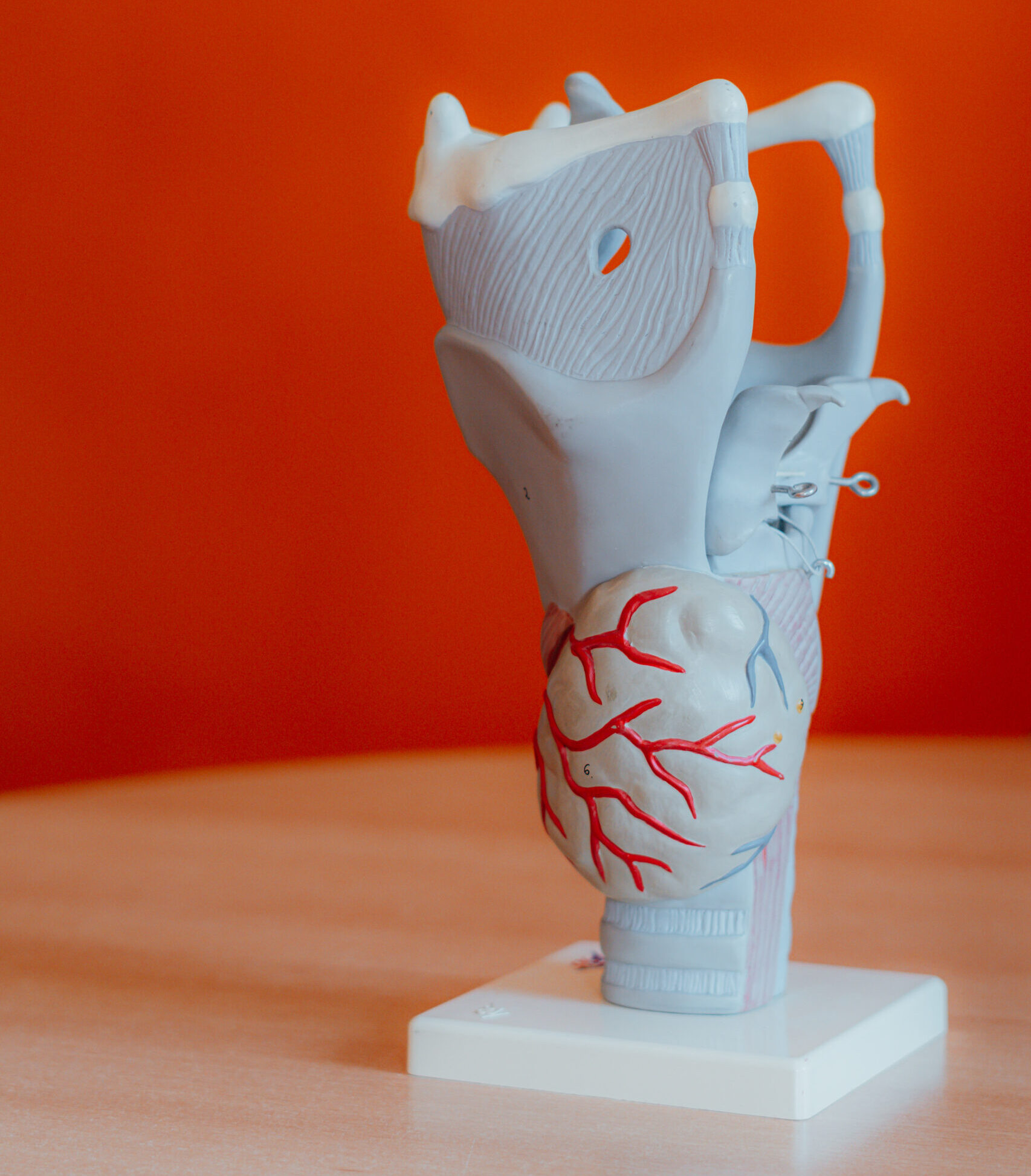 moderne und fundierte Therapieansätze