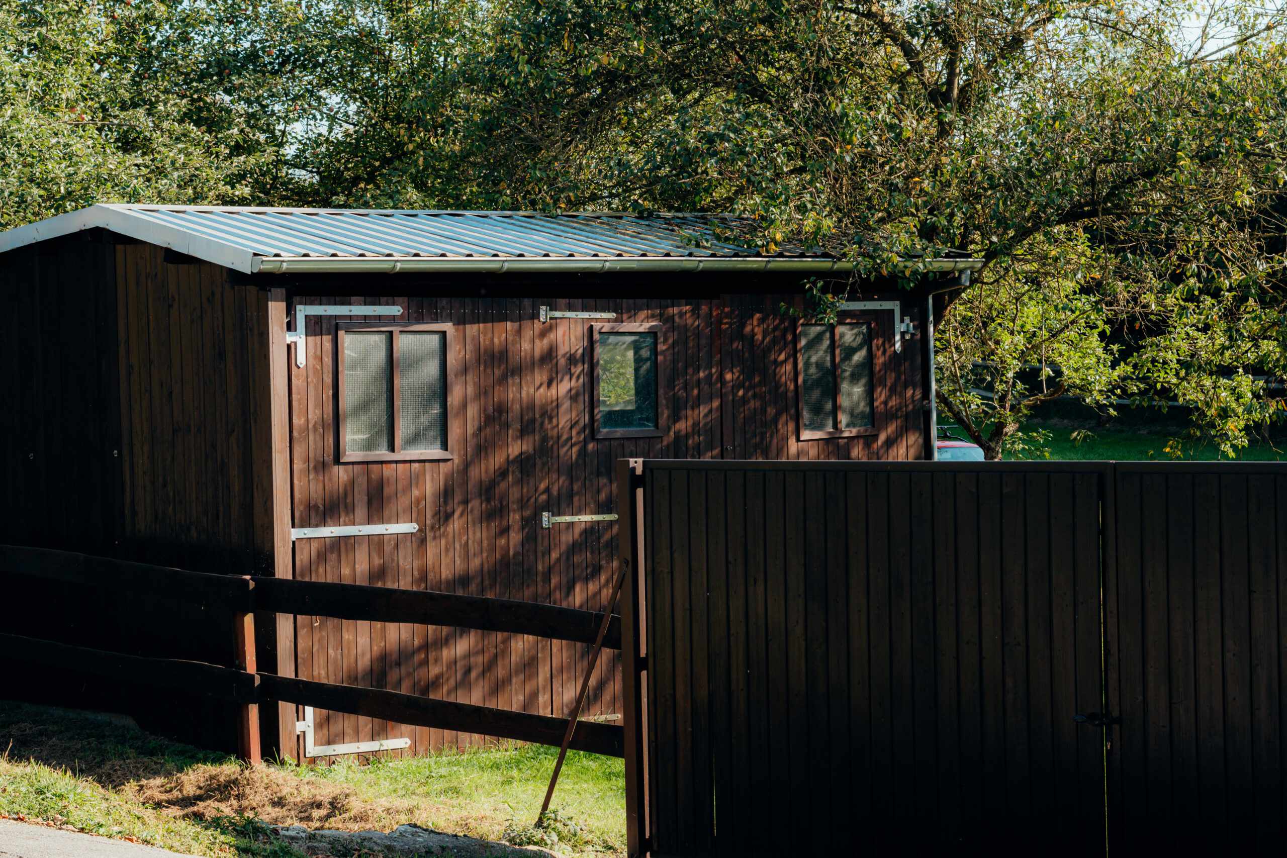 Tiergestützte Therapie