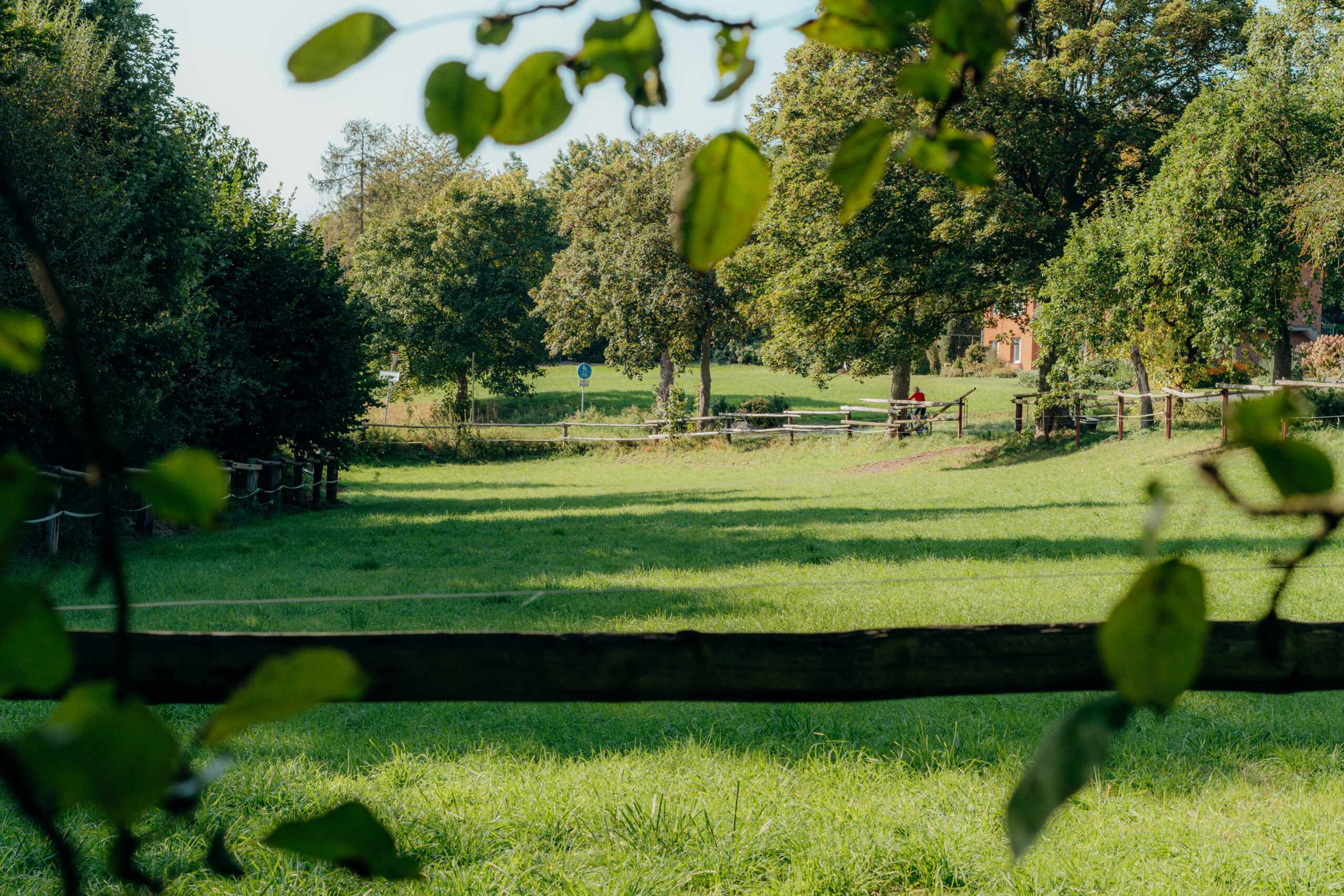 Tiergestützte Therapie