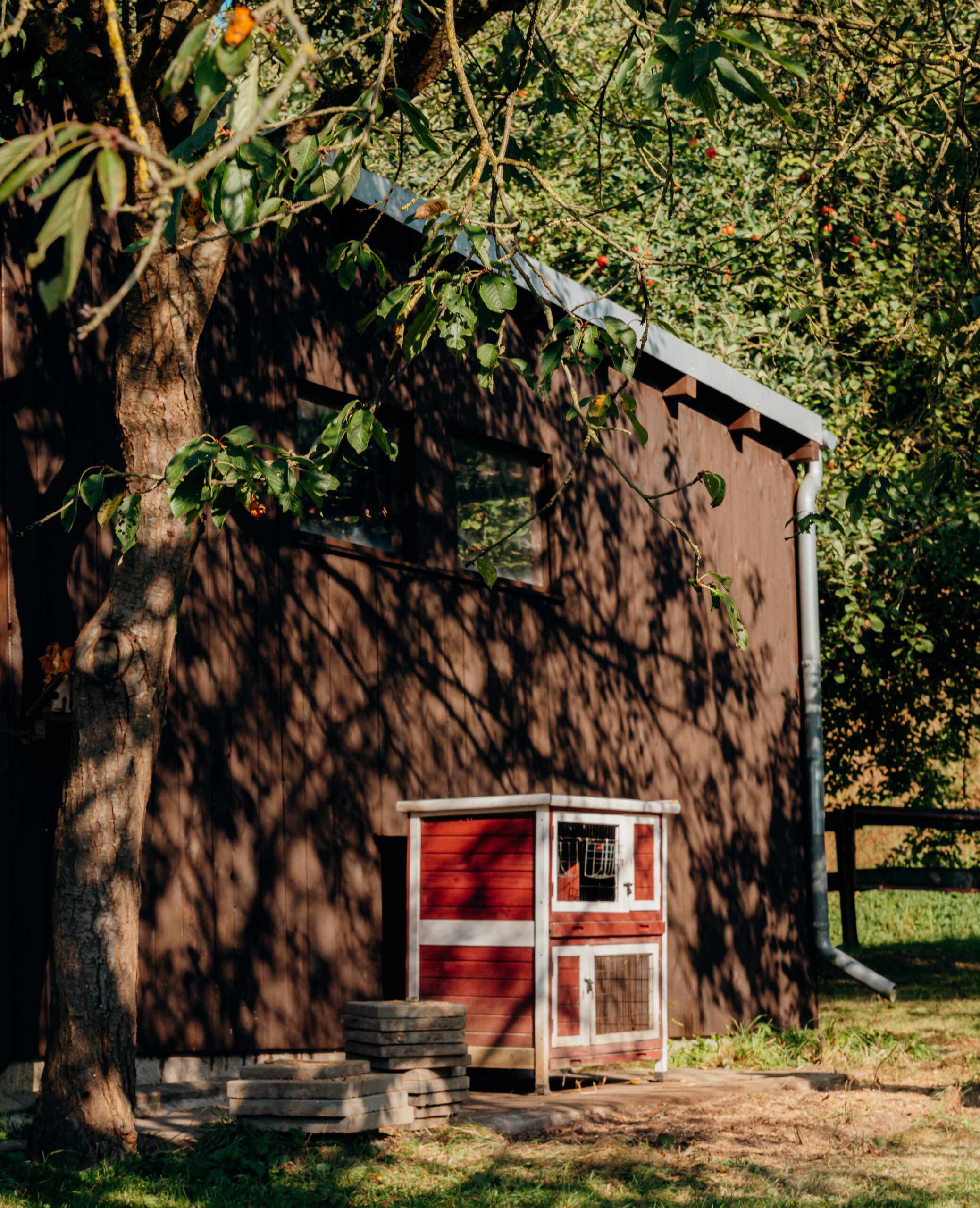 Tiergestützte Therapie