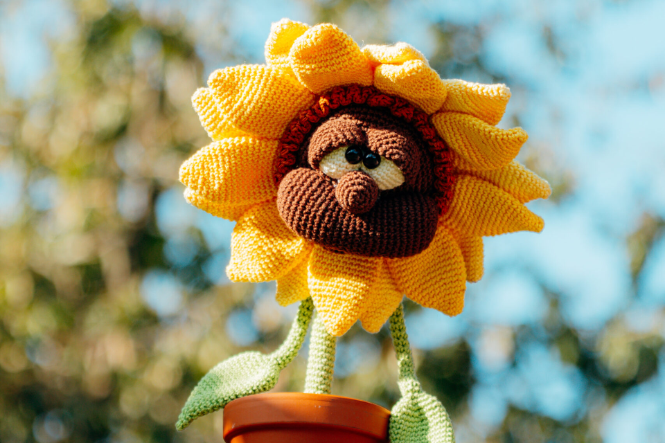 PraktikantIn gesucht